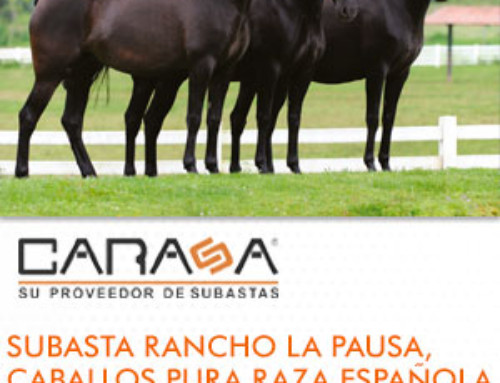 Subasta Presencial, Rancho la Pausa. Carasa-30-01-02016