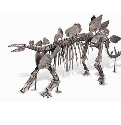 estegosauro en subasta