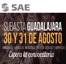 Subasta-sae-presencial-inmuebles-vehiculos-mercancia-diversa-31-08-2018