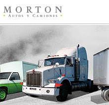 morton-autos-y-camiones-subasta-presencial-de-bimbo-26-10-2019