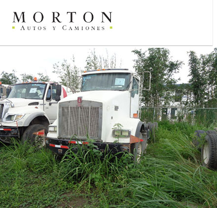 morton-autos-y-camiones-subasta-vehicular-de-empresa-cementera-17-07-2021